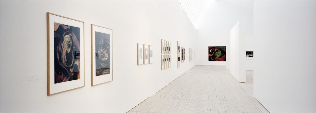 Från utställningen Genomresa, Malmö Konsthall 2003. Foto: © Åke Hedström