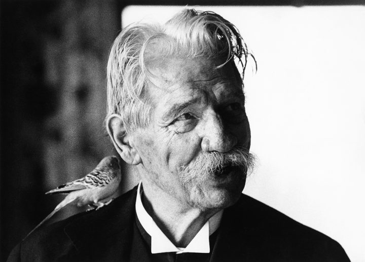 Albert Schweitzer